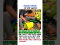 프리미엄 잭프루트 VIP 포장 기술 #worker #process #jackfruit #packing #factory