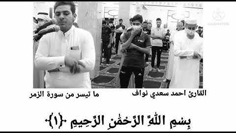 تلاوه هادئه للقارئ احمد سعدي نواف