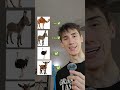 Animaletti✅️ in inglese &87 #animaletti #animali #shorts