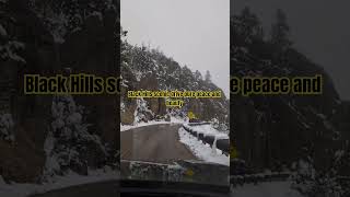 Black Hills scenic drive south dakota #southdakota #blackhills #nature#shorts #beaty#snow