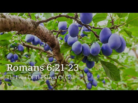 Romans 6:21-23 | The Fruit Of The Slaves Of God