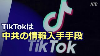 TikTokは中共の情報入手手段 トランプ大統領がTikTok禁止令に署名【禁聞】