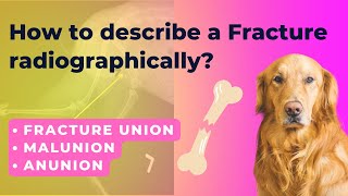 How to describe a Fracture radiographically? | Radiology of Skeleton System | Part 2