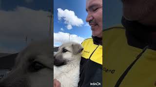 Kliniğe Görürdüm Garibimi