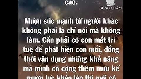 Muốn trở thành kẻ mạnh thực sự, hãy học: Đường đi của SÓI, trí tuệ của CÁO và mưu lược của CHIM ƯNG