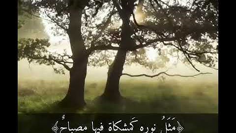 تلاوة خاشعة وآيات مباركة من سورة النور.📚/القارئ عمر الدريويز../حالات واتس أب دينية.💞