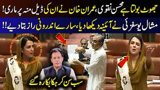 Mohsin Naqvi Jhoot Bolta Hai! | Mishal Yousafzai’s Aggressive Speech in Senate