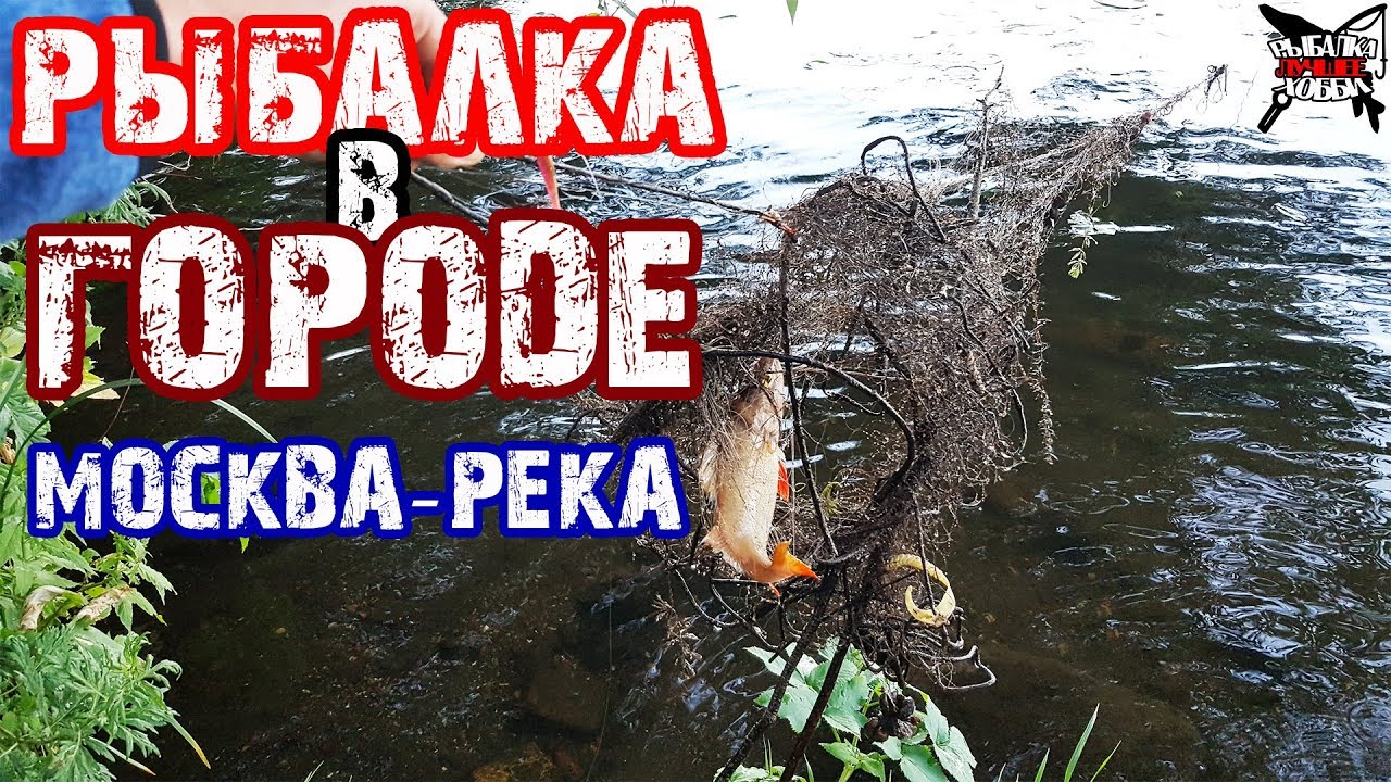 Лови город. Лови город. Лови город. Лови город. Лови город.