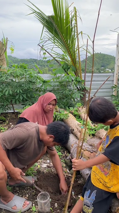 Mulen tongak #komedilucu #komedisasak #komedilombok