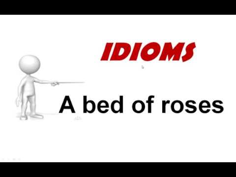Bed of Roses Idiom Meaning - YouTube