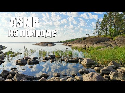 АСМР ASMR На необитаемом острове-2🐍Змеи, чайки и обалденный закат🌲Тайна красной ленты