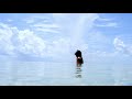 Morgan maassen 2013 motion reel