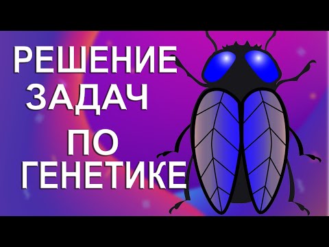 Множественный аллелизм. Наследование