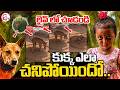 Dog Is No More: లైవ్ లో చూడండి..| Jahnavi Mother Sensational Comments | Jahnavi Missing Case