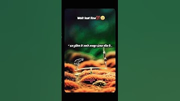 मन में हो विश्वास, तो सब संभव है 💯 #motivation #inspiration #life  #shorts #viral #youtubeshorts