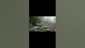 {أَلَمۡ نَشۡرَحۡ لَكَ صَدۡرَكَ} سورة الشرح #سعد_الغامدي