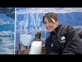 IDOL JAPONESA EN MÉXICO: NO CREÍ PODER ACARICIAR UNOS PINGÜINOS