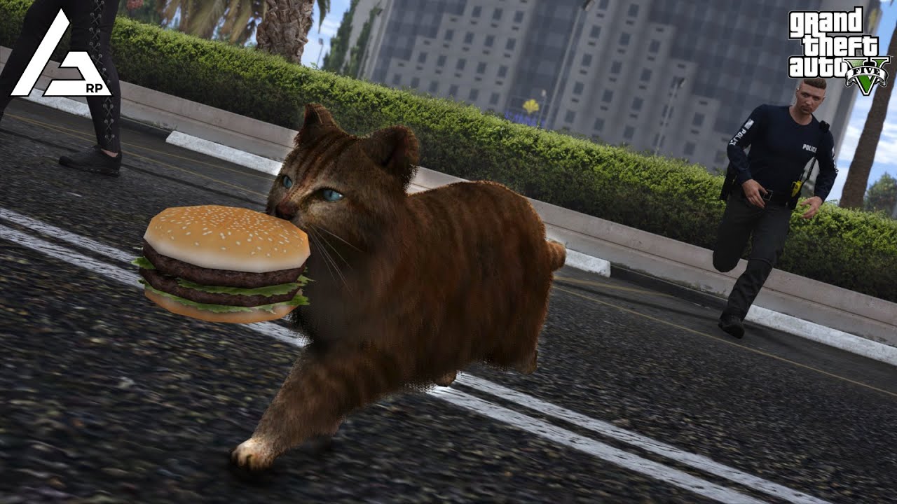 GTA 5 Roleplay - ARP - #1207 - Kitty Trolls The Cops!