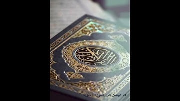 ما تيسر من سورة التوبة ٢ / #قرآن #تلاوات #تلاوة_خاشعة #قران_كريم