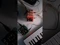 #mood + #nornsshield + #microfreak #soundscapes #textures #ambient #chaseblissmood #chaseblissaudio