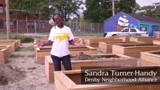 Skinner Park Recap - Life Remodeled