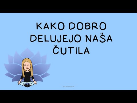 Video: Seattl Skozi čutila - Matador Network