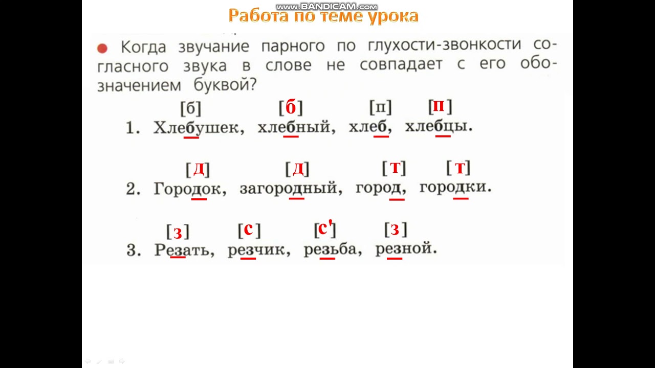 Орфографические слова по глухости звонкости