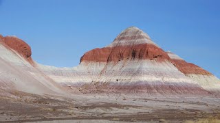 Petrified Forest National Park