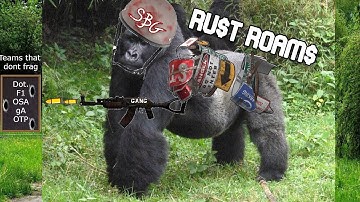 How $BG Clan Plays VITAL RUST // PVP & ROAMS