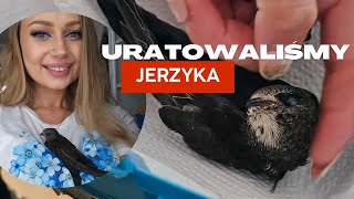Uratowaliśmy Jerzyka