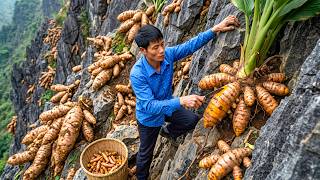 Harvesting 1 Ton of Fresh Turmeric and Transporting It to the Market for Sale – Fresh Nature Harvest