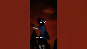اغنيه القط الاسود 