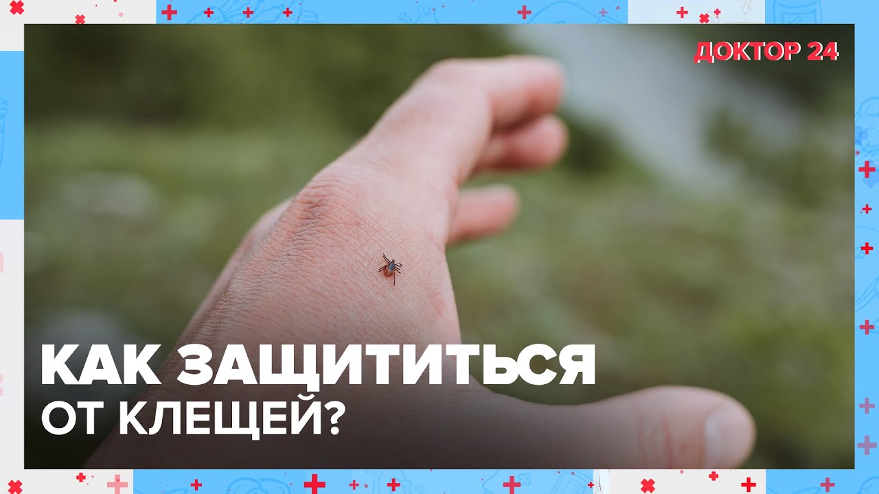 Как защититься от КЛЕЩЕЙ? | Доктор 24 - YouTube
