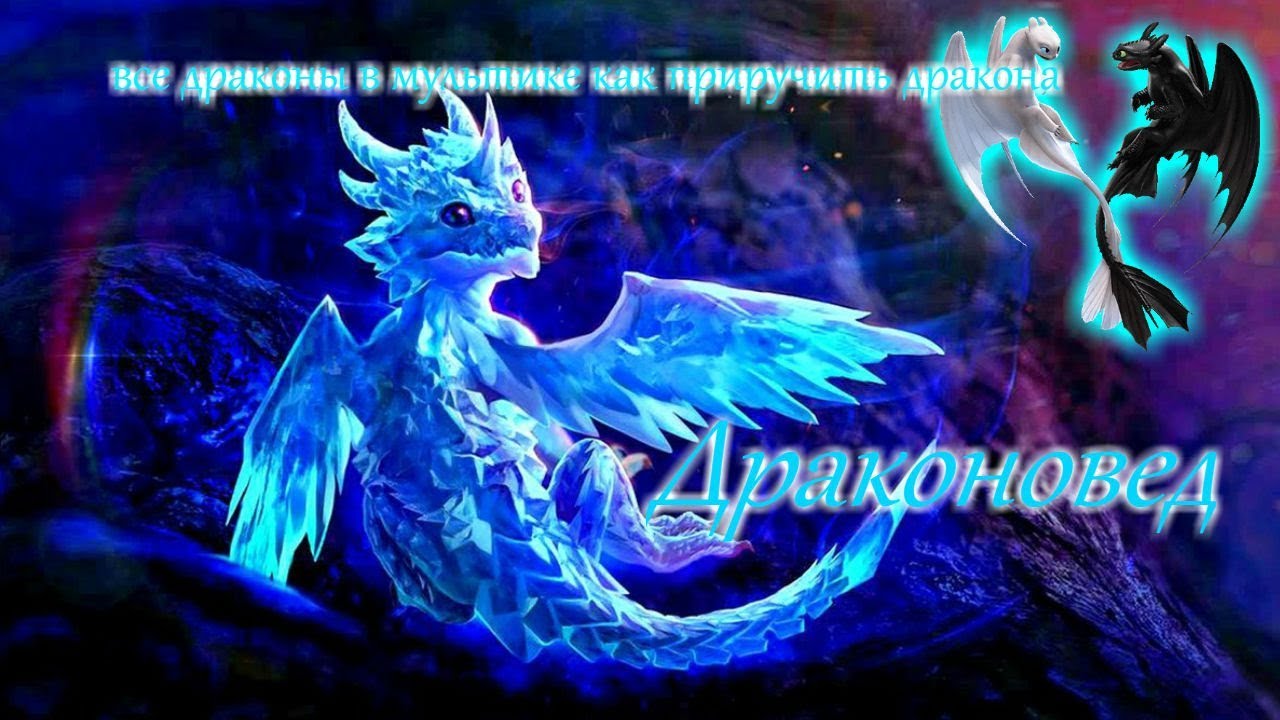 все драконы мультика как приручить дракона - YouTube