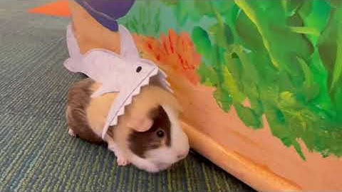 Summer Reading Club 2022: Oceans of Possibilities