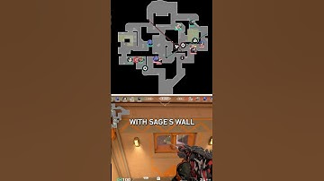This Sage Wall will go down in history