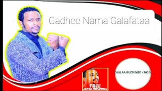 New Caalaa bultume   GAADHEE NAMA GALAFATAA Oromo music 2020
