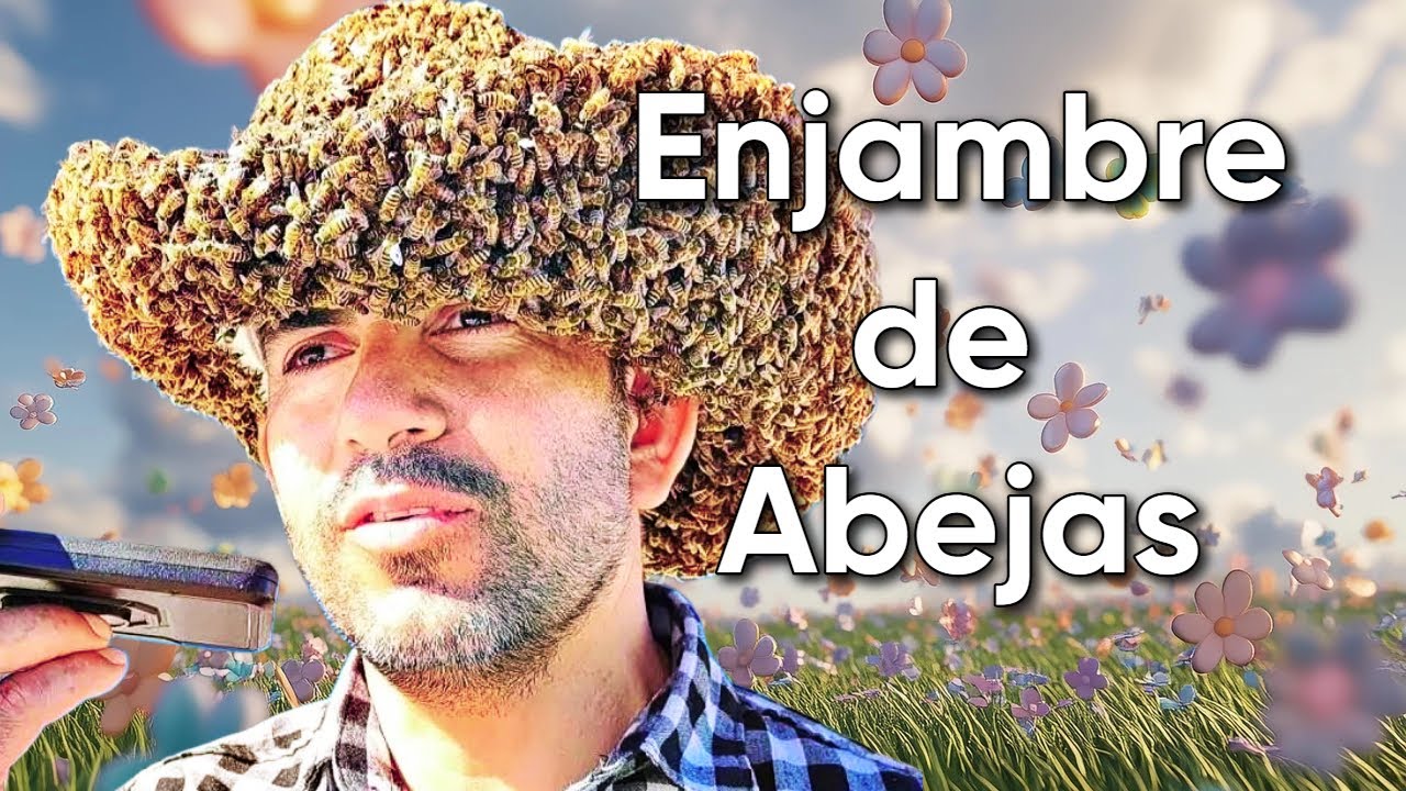 Cómo reubicar abejas #1
