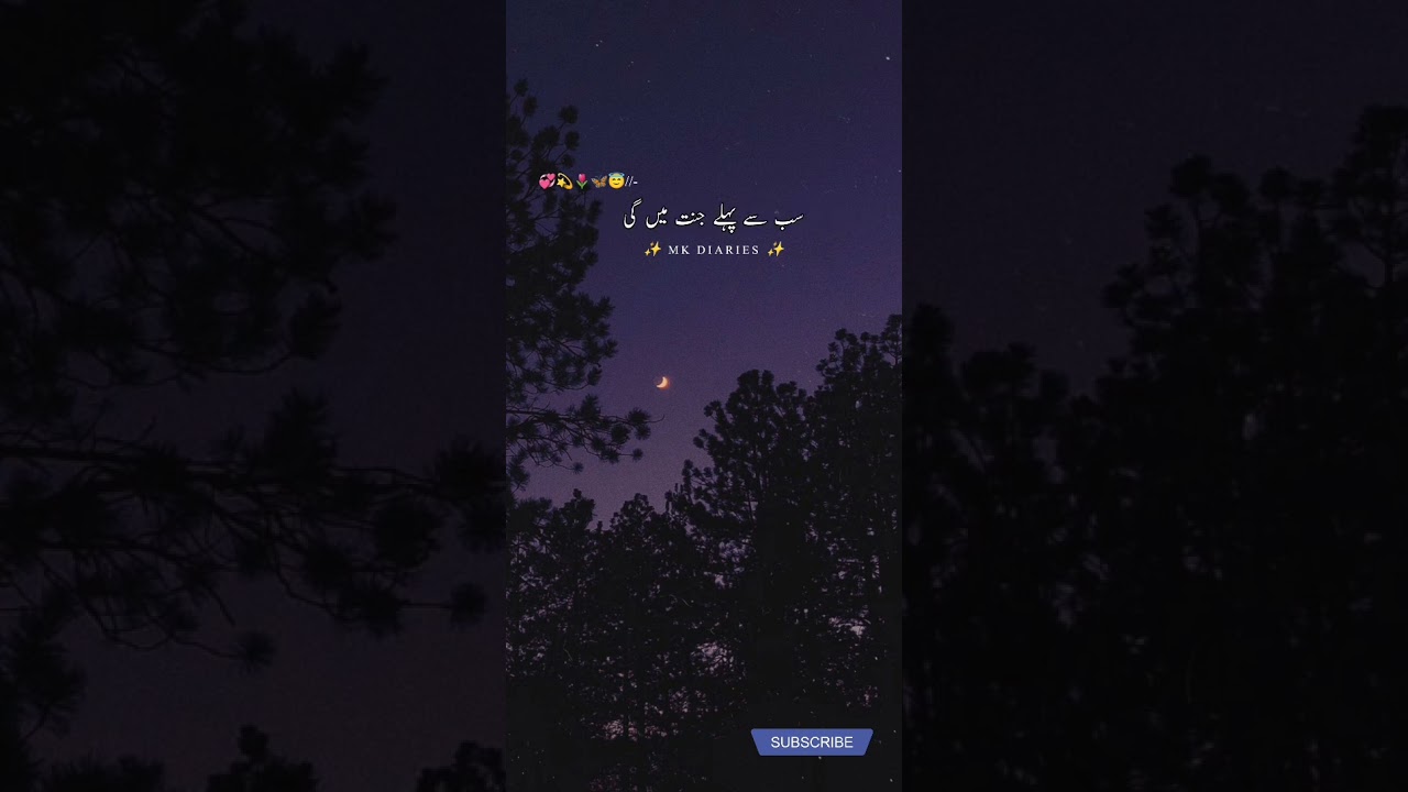 Huzoor ﷺ Ney Farmaya ✨___ Ajmal Raza Qadri || #mkdiaries #islamic #bayan #status #shorts