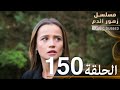 الحلقة 150 مسلسل زهور الدم مدبلج بالعربية Kan Çiçekleri 