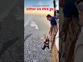Other Skydivers vs This Crazy Girl 😱#shorts #viral #skydiving #extreme
