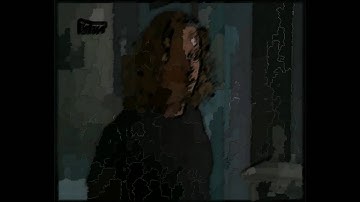 fun video processing 1 : Cartoonizer