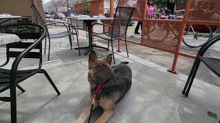 Kismit at Slate Street Cafe2