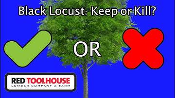 Ep142: Is the black locust a friend or enemy to the homesteader/small farmer?