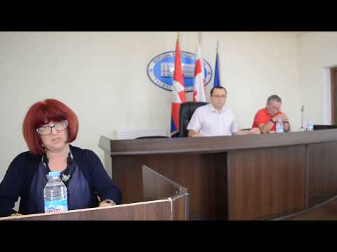 საკრებულოს სხდომა 07/20/ 2017 (პირველი ნაწილი)