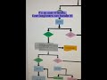 Best Website to Draw flowchart and diagrams #shorts #website #flowchart