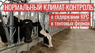 В Новосибирской области для аграриев провели экскурсию по тентовой ферме