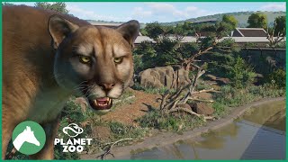 Cougar Habitat | Elm Hill City Zoo | Planet Zoo