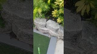 not the best of shots Fiesta falls miniature golf ⛳