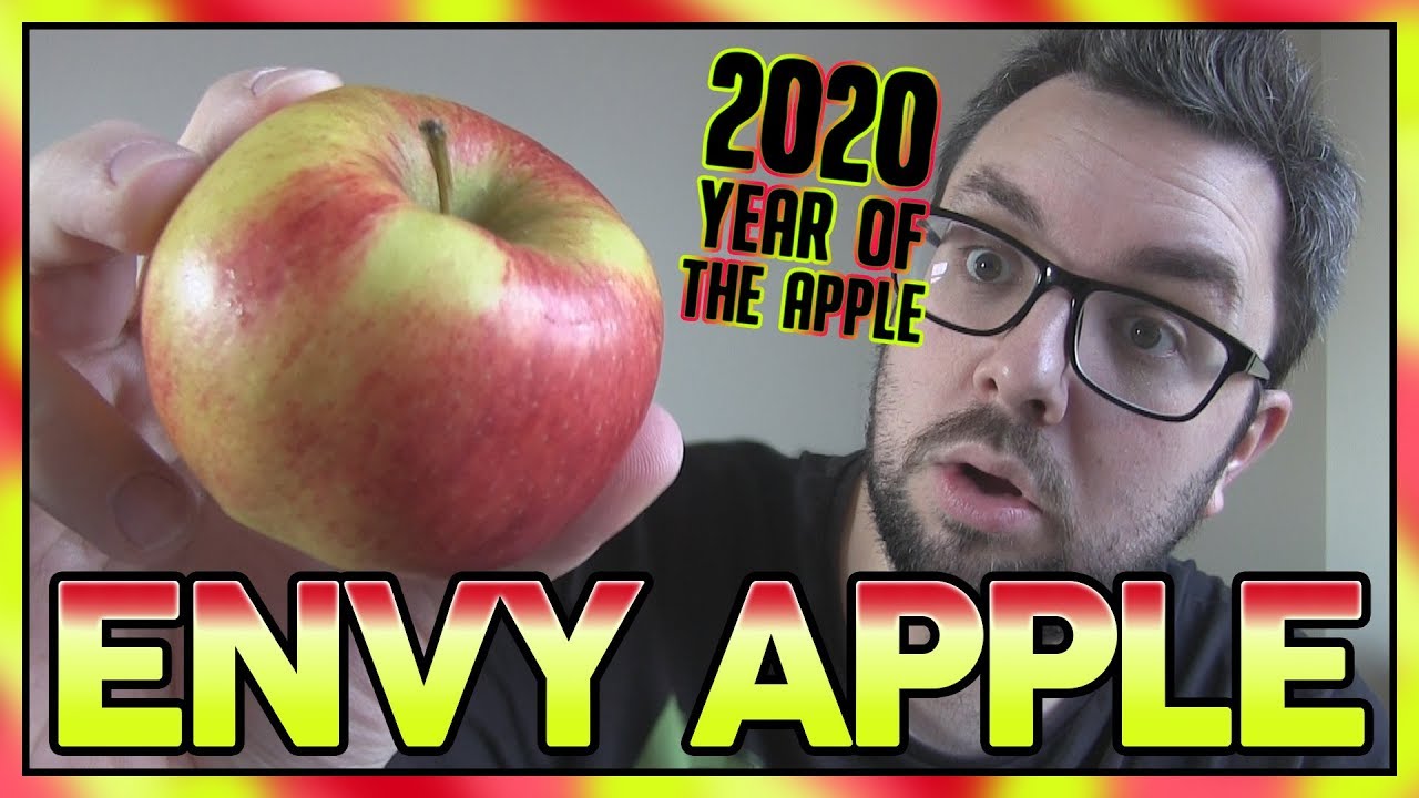 Envy Apples on X: An apple like Envy doesn't happen overnight. Become an  Envy historian here:  #BiteAndBelieve #applehistory  🍎  / X